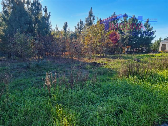 Image No.3-Plot for sale