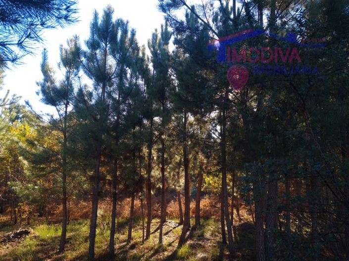 Image No.9-Plot for sale