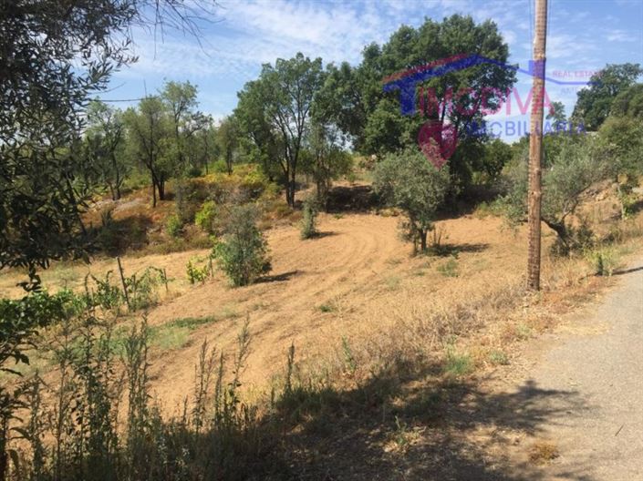 Image No.14-House for sale