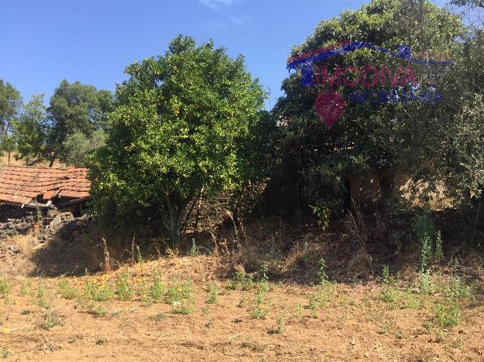 Image No.5-House for sale