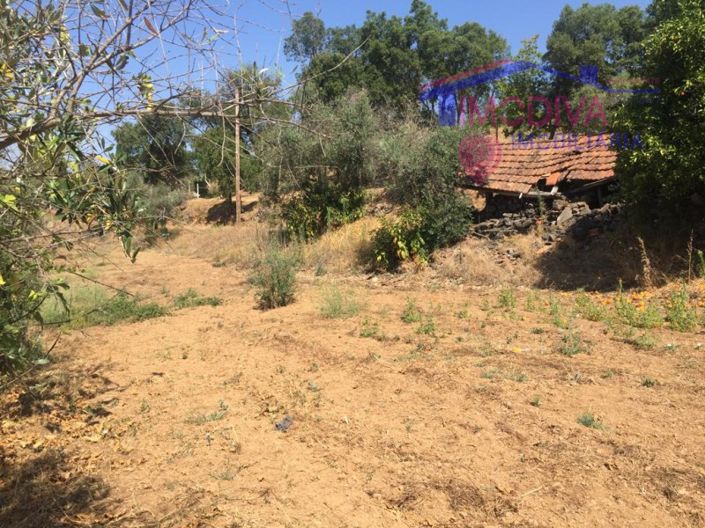 Image No.6-House for sale