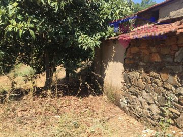 id62106001-0000-0500-0000-00001051d083