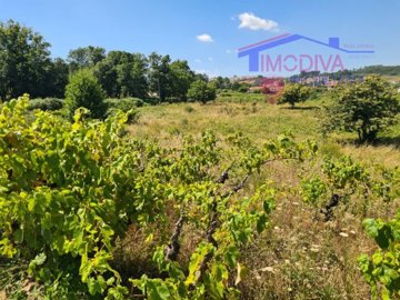 ide5075c01-0000-0500-0000-00000ffea4a0