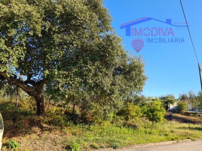 Image No.3-Plot for sale