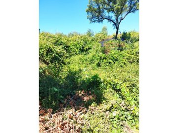 id86615e01-0000-0500-0000-00001030caee