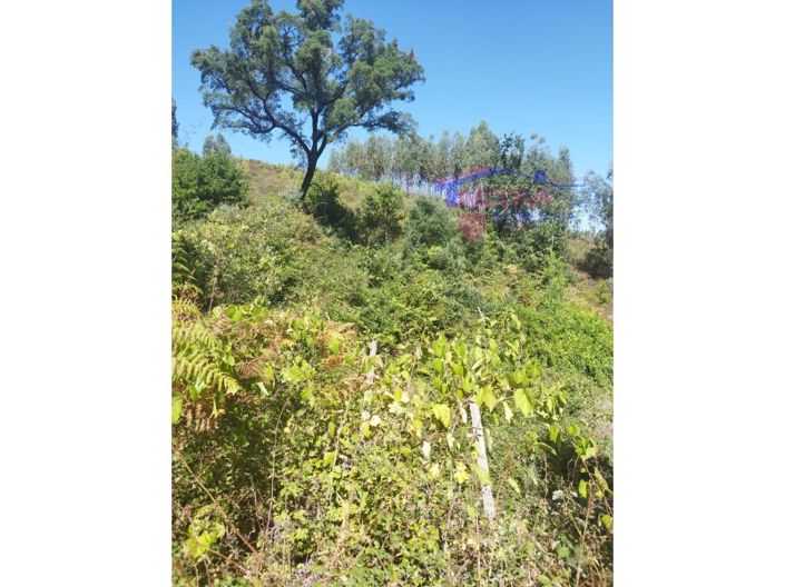 Image No.9-Plot for sale