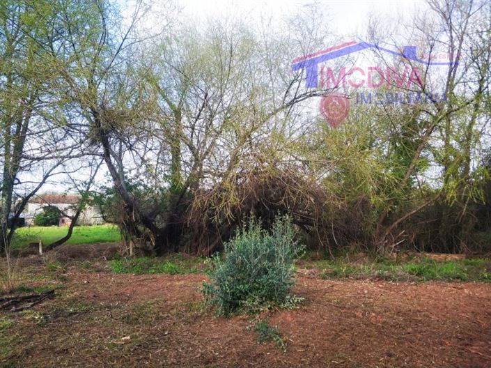 Image No.16-1 Bed House for sale