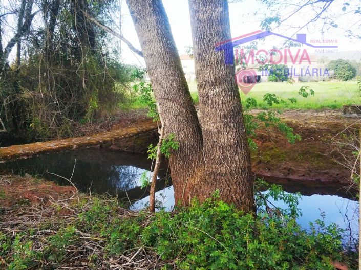 Image No.17-1 Bed House for sale