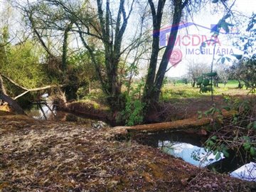 id98585801-0000-0500-0000-00000fad7d83