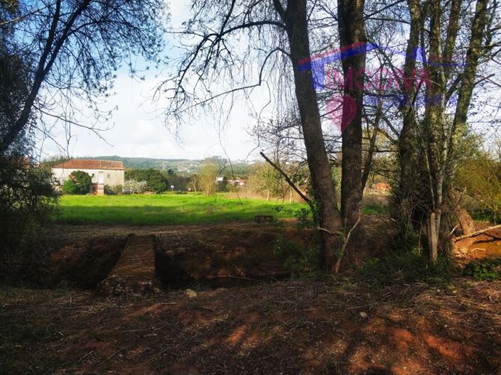 Image No.23-1 Bed House for sale