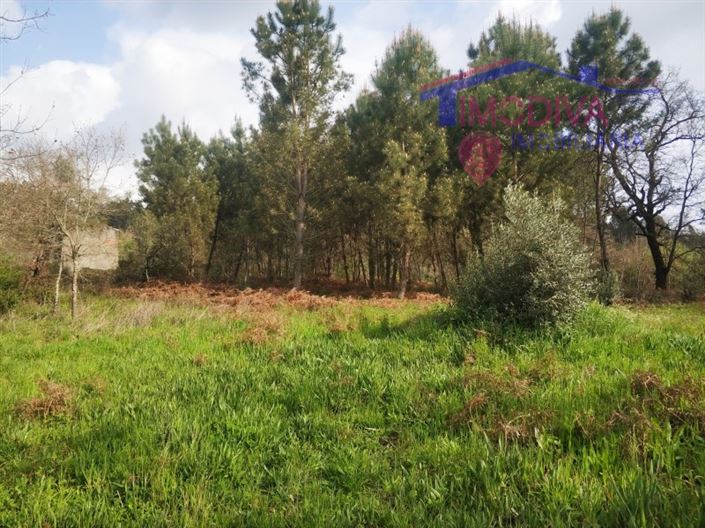 Image No.10-1 Bed House for sale