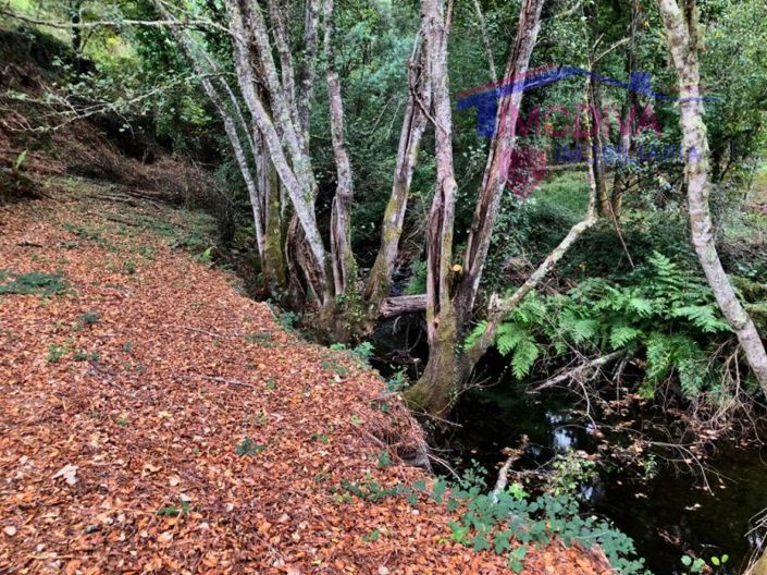 Image No.12-Plot for sale