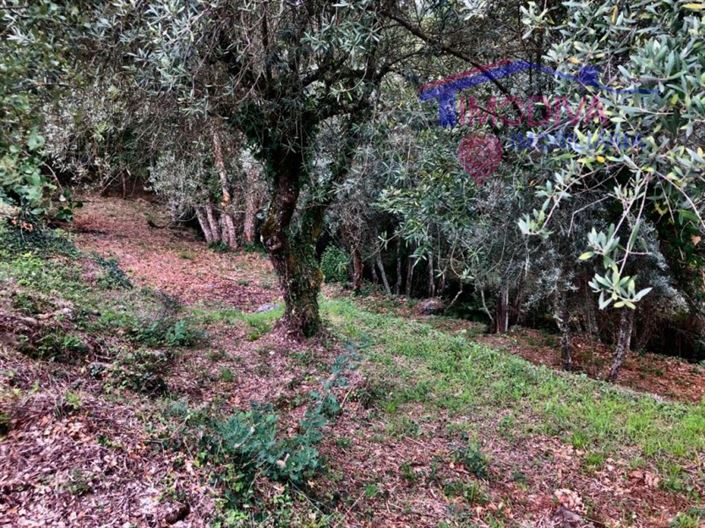 Image No.15-Plot for sale