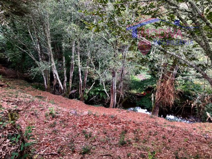 Image No.4-Plot for sale