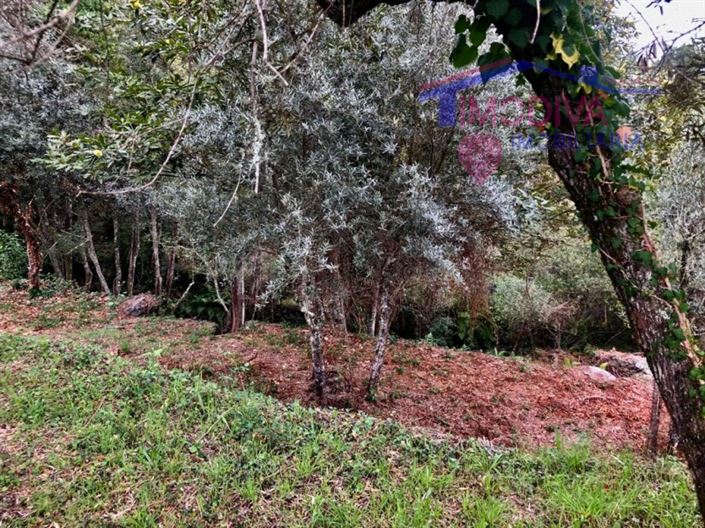 Image No.7-Plot for sale