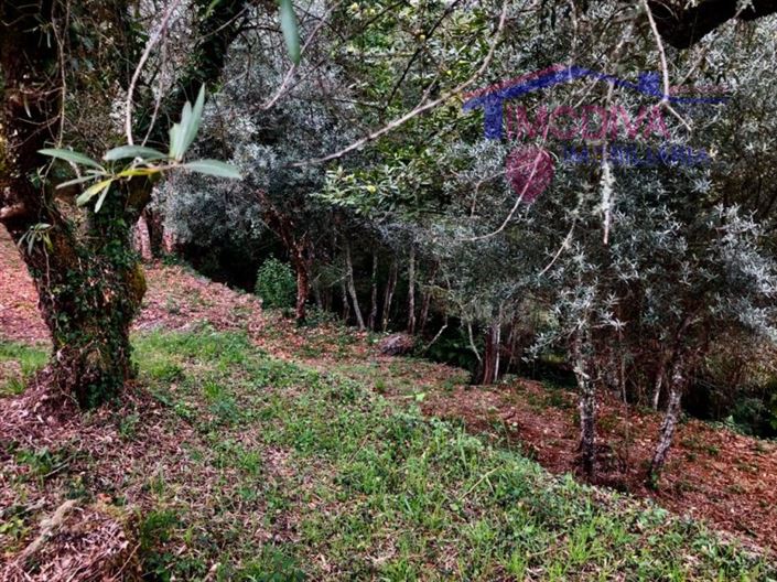 Image No.9-Plot for sale