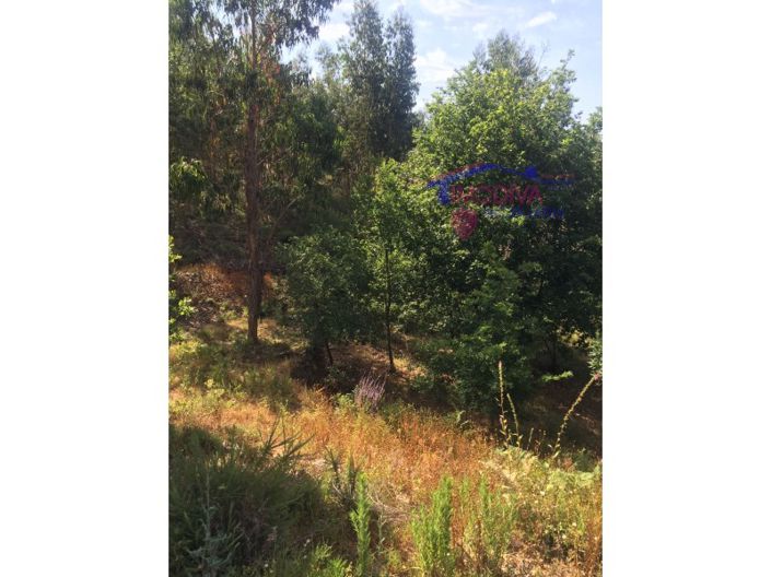 Image No.16-House for sale