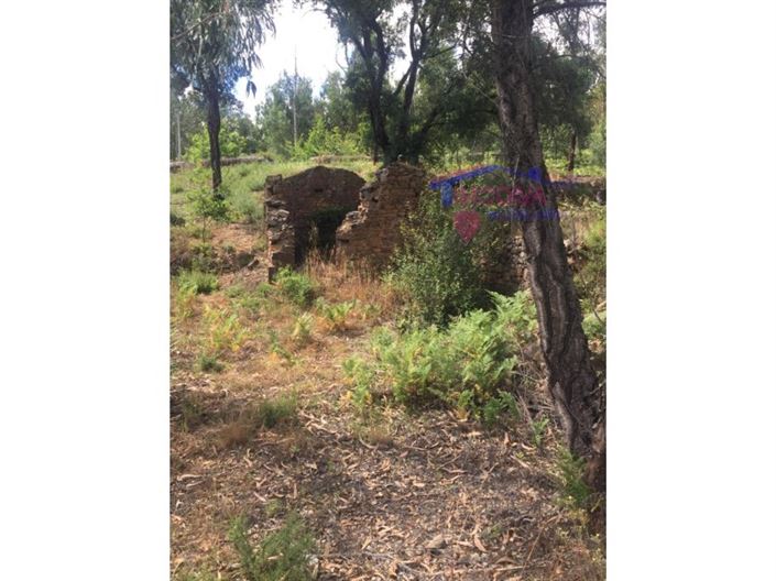 Image No.9-House for sale