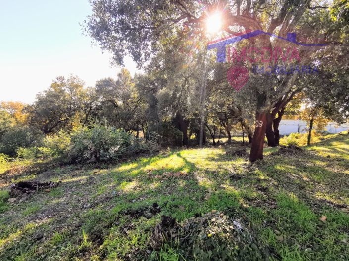 Image No.10-Plot for sale