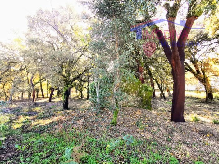 Image No.12-Plot for sale