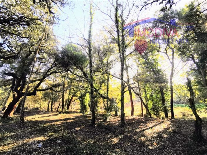 Image No.15-Plot for sale