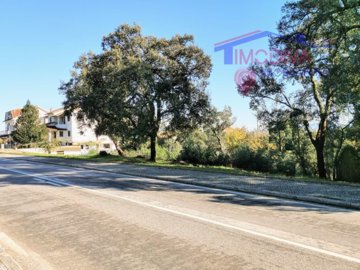 idae387601-0000-0500-0000-0000125fd8e3