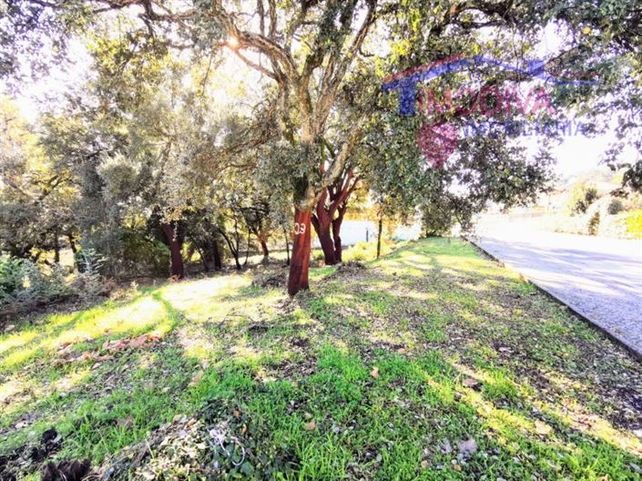 Image No.2-Plot for sale