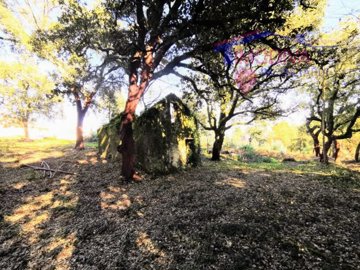 idae387601-0000-0500-0000-0000125efb98