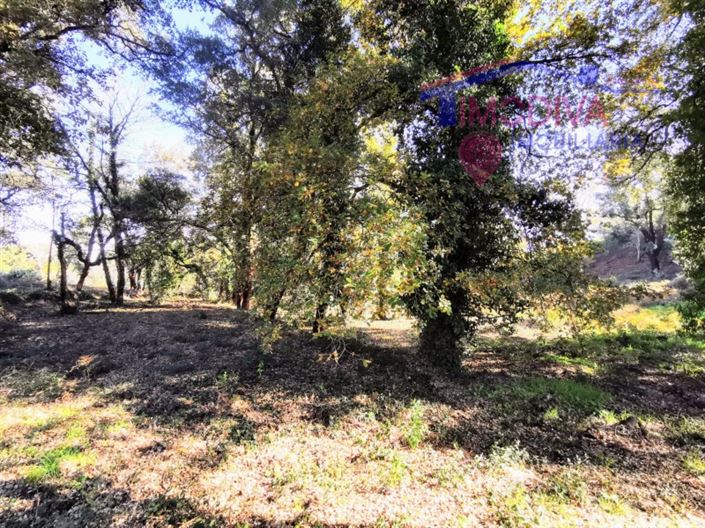 Image No.11-Plot for sale