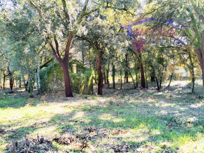 Image No.9-Plot for sale