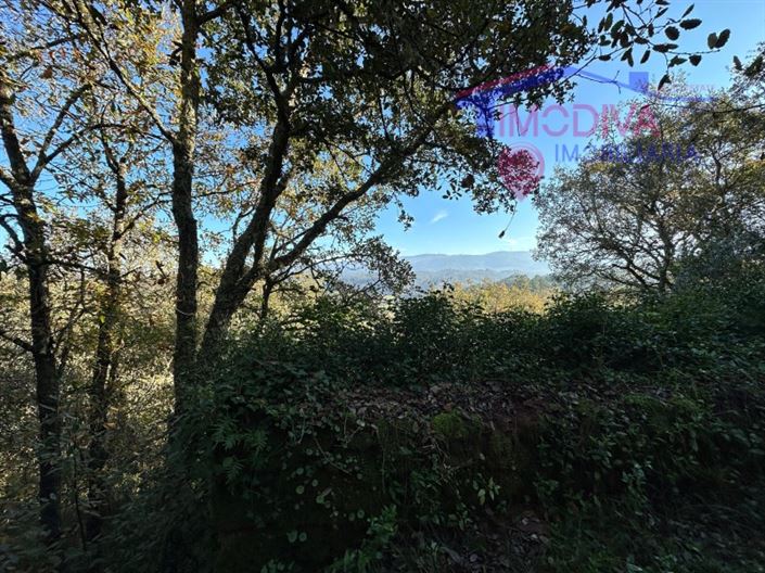 Image No.13-Plot for sale