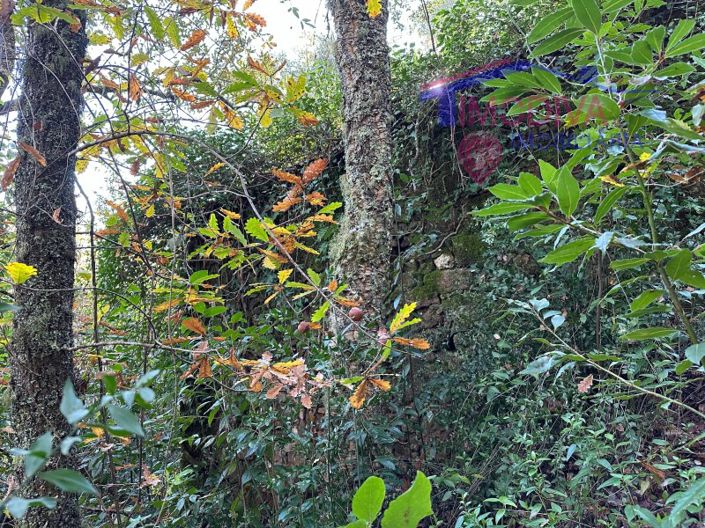 Image No.14-Plot for sale