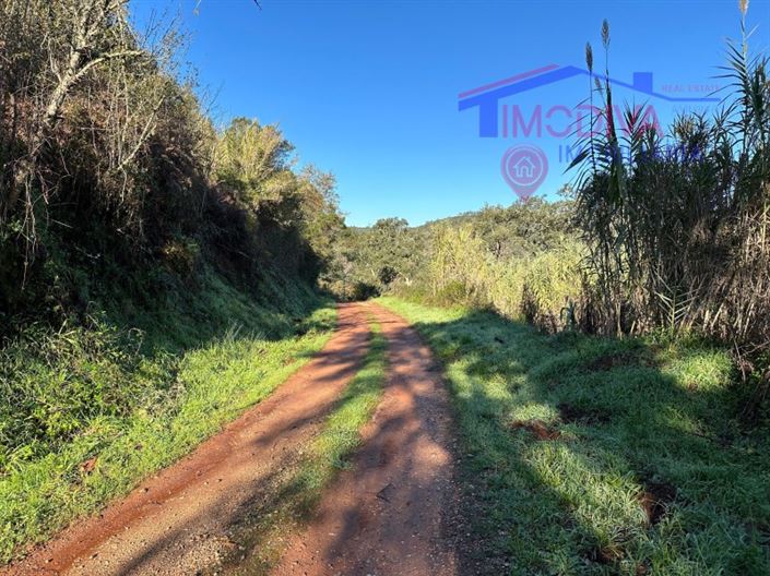 Image No.2-Plot for sale