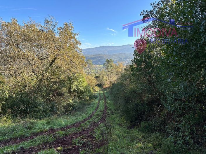 Image No.5-Plot for sale