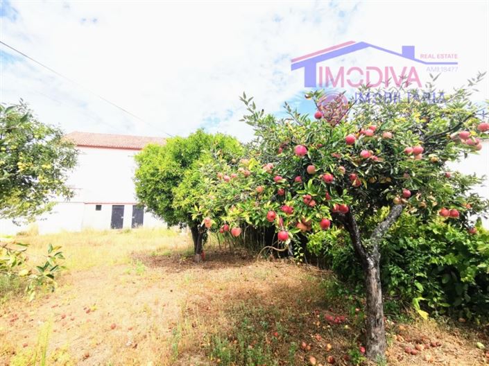 Image No.6-3 Bed House for sale