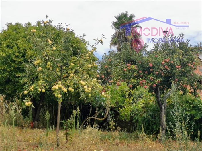 Image No.43-3 Bed House for sale