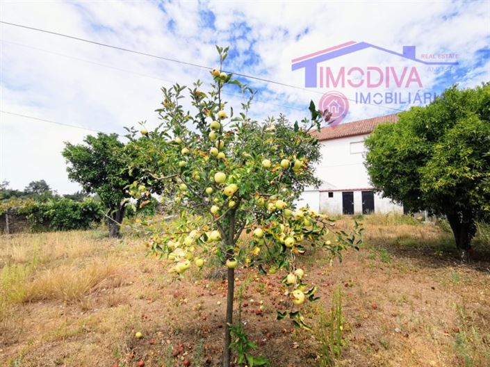 Image No.7-3 Bed House for sale