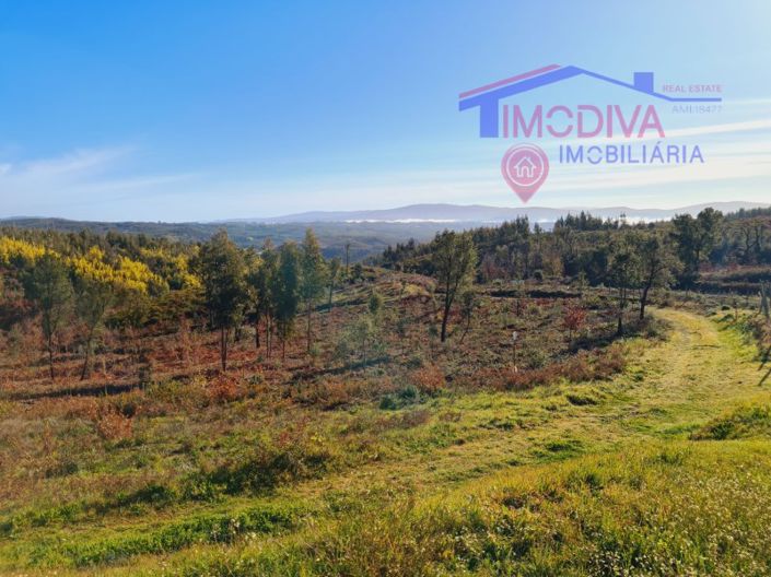 Image No.6-Plot for sale