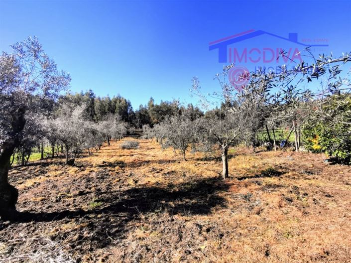 Image No.30-3 Bed House for sale