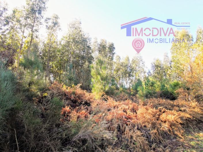 Image No.31-3 Bed House for sale