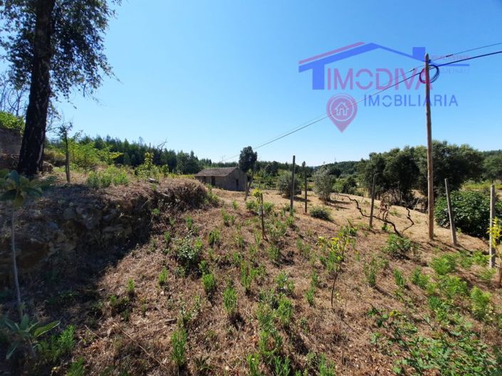 Image No.17-House for sale