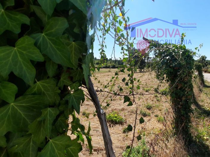 Image No.19-House for sale