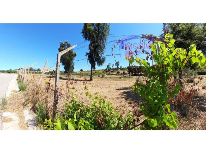 Image No.20-House for sale