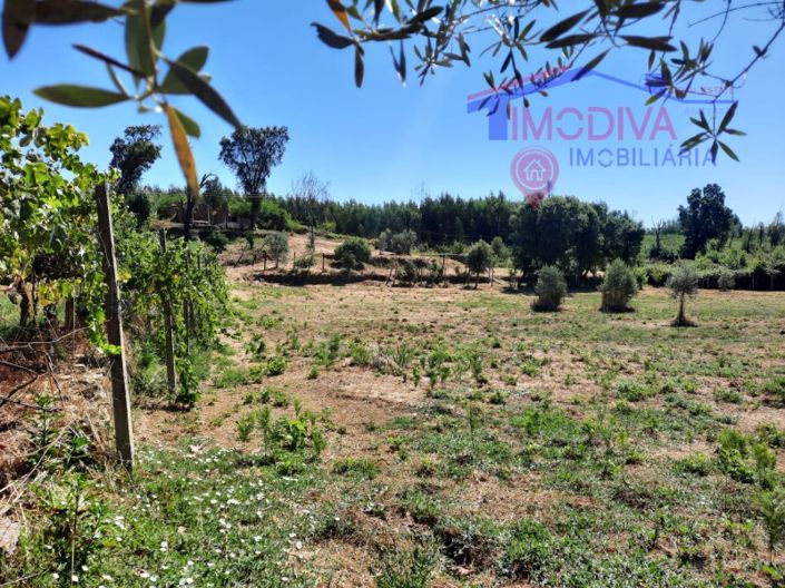 Image No.5-House for sale