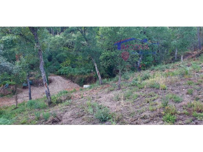 Image No.4-Plot for sale