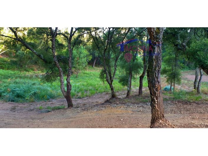 Image No.5-Plot for sale