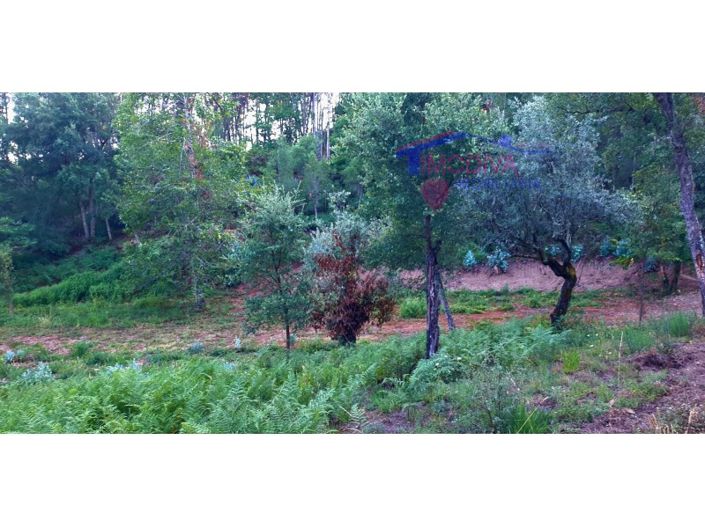 Image No.8-Plot for sale