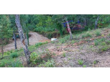 idbd5c5101-0000-0500-0000-000010b493ce