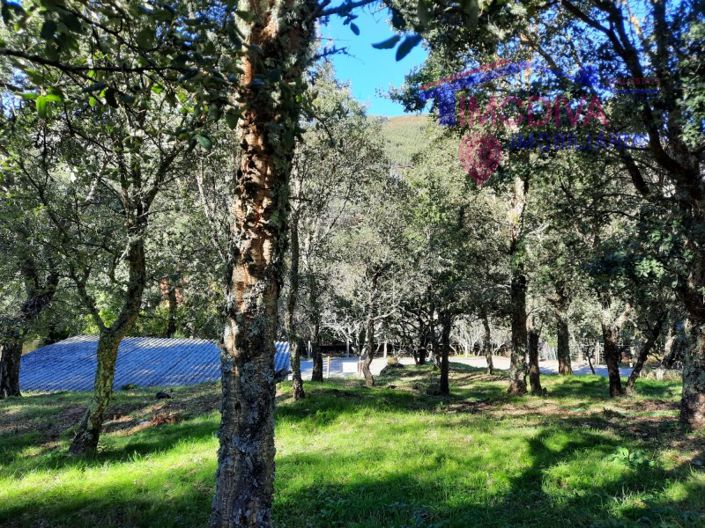 Image No.6-Property for sale