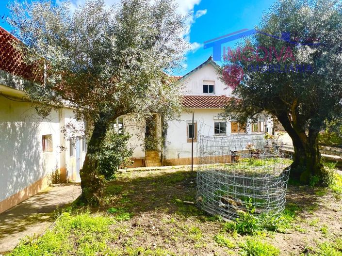 Image No.35-3 Bed House for sale